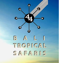 Bali Tropical Safaris